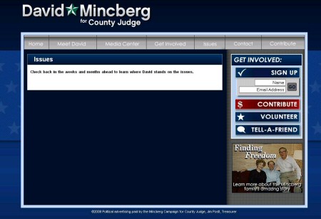 Mincberg - Issues